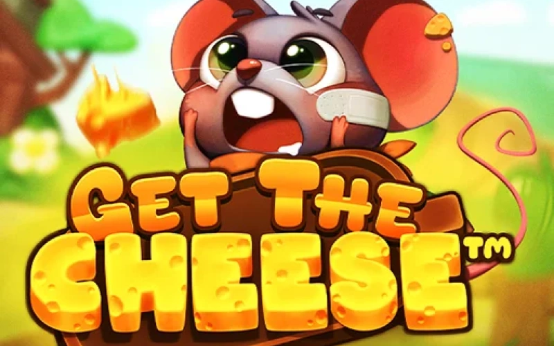 Winning big on the fun Get the Cheese slot at AdmiralBet.