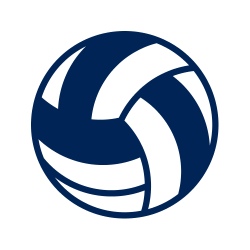 Bet now on national and international volleyball leagues with AdmiralBet.