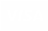 Logo ufficiale del metodo di pagamento Visa.